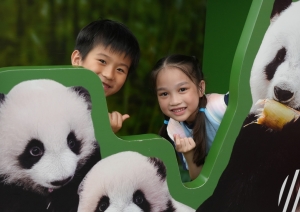 全校參觀香港海洋公園——賽馬會大熊貓探索之旅