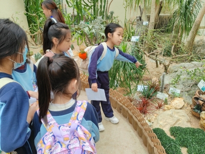 三年級參觀香港公園