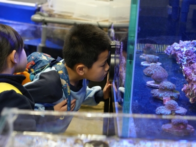 一年級跨學科參觀香港海洋公園