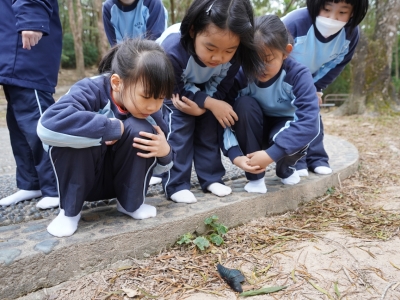 二年級跨學科遊郊野公園活動