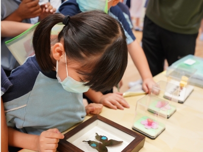 二年級常識科郊野公園小學訪校活動