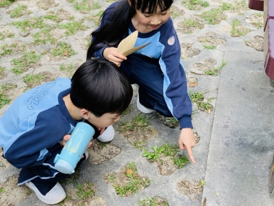 二年級常識科遊郊野公園活動