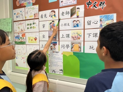 中文大使