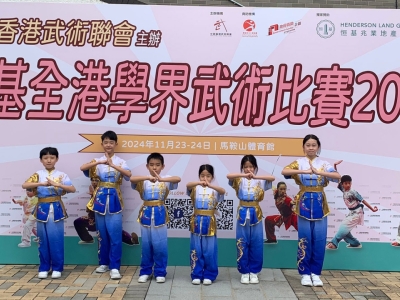 恒基全港學界武術比賽2024