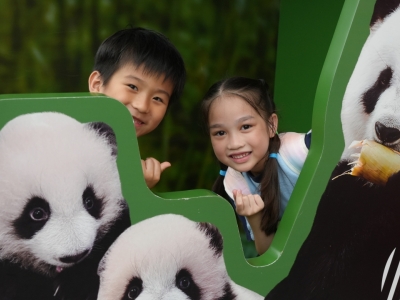 全校參觀香港海洋公園——賽馬會大熊貓探索之旅